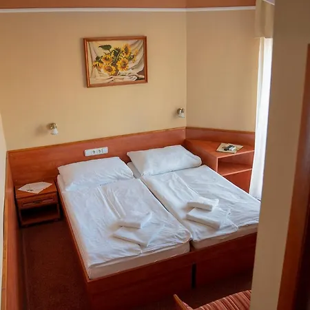 Termal Penzión pre hostí Bojnice