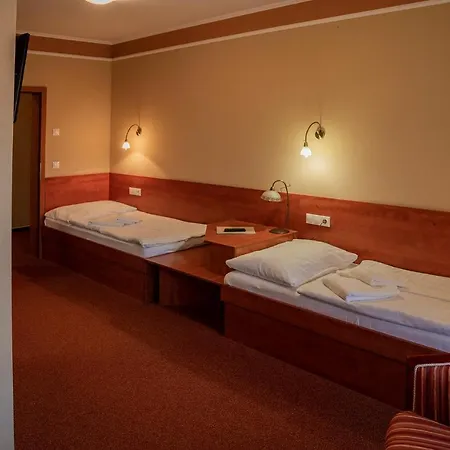 Termal Penzión pre hostí 3*